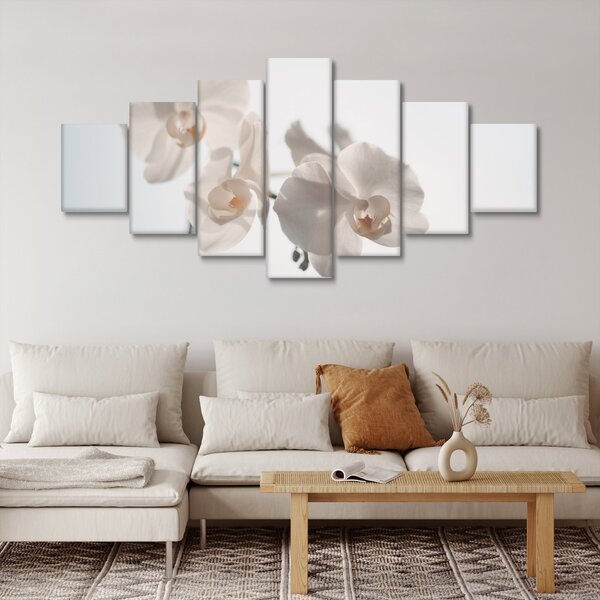 Obraz bílé orchideje (210x100 cm)
