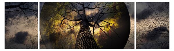 Obraz - Záhadné nebe (170x50 cm)