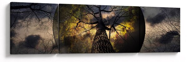Obraz - Záhadné nebe (170x50 cm)