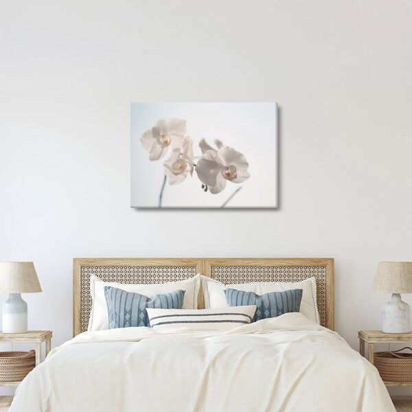 Obraz bílé orchideje (70x50 cm)