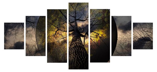Obraz - Záhadné nebe (210x100 cm)