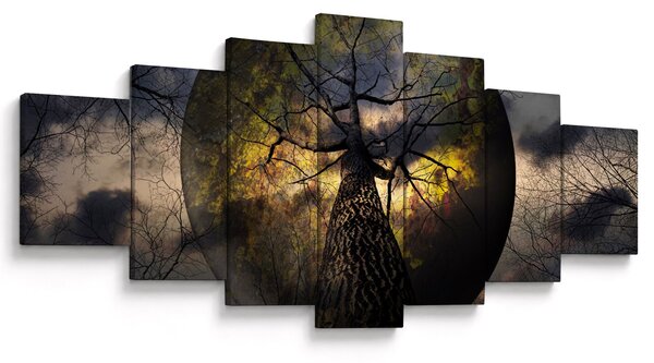 Obraz - Záhadné nebe (210x100 cm)