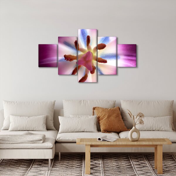 Obraz - Květ tulipánu v detailu (125x70 cm)