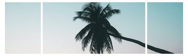 Obraz - Palma na Bali (170x50 cm)