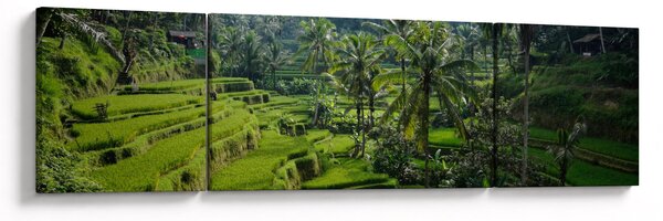 Obraz rýžových teras Tegalalang, Bali (170x50 cm)
