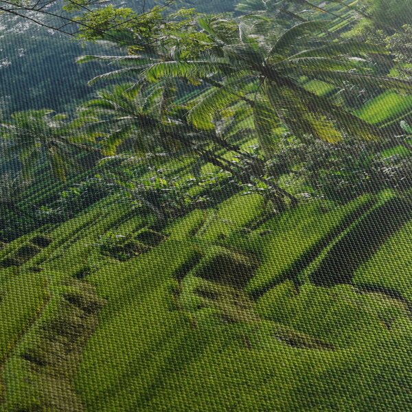 Obraz rýžových teras Tegalalang, Bali (170x50 cm)
