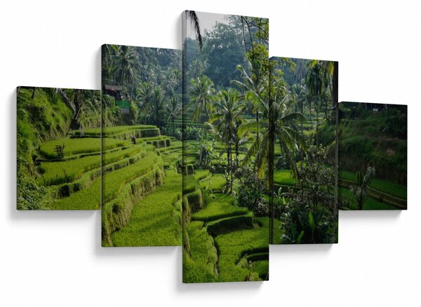 Obraz rýžových teras Tegalalang, Bali (125x70 cm)