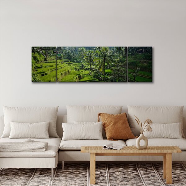 Obraz rýžových teras Tegalalang, Bali (170x50 cm)