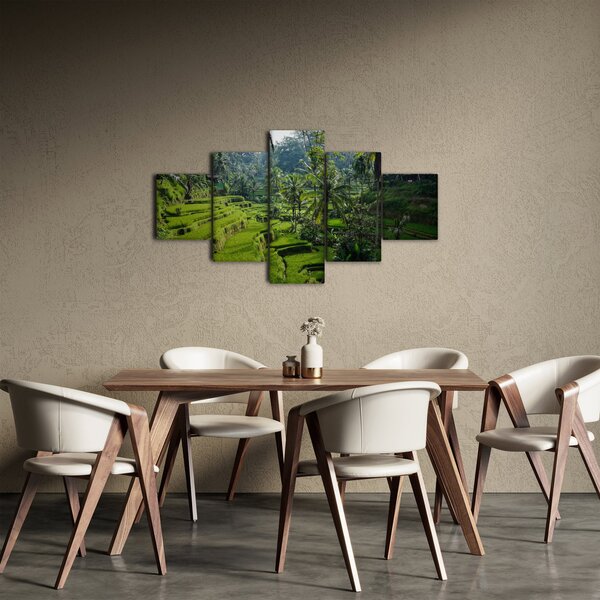 Obraz rýžových teras Tegalalang, Bali (125x70 cm)