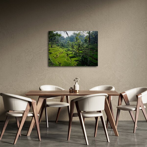 Obraz rýžových teras Tegalalang, Bali (70x50 cm)