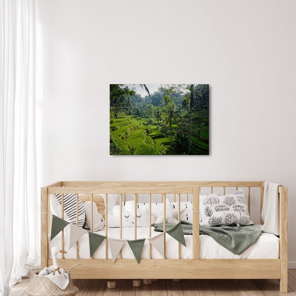 Obraz rýžových teras Tegalalang, Bali (70x50 cm)