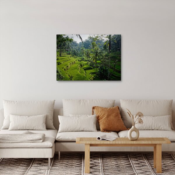 Obraz rýžových teras Tegalalang, Bali (70x50 cm)