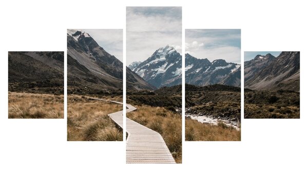 Obraz - Chodník v údolí hory Mt. Cook (125x70 cm)