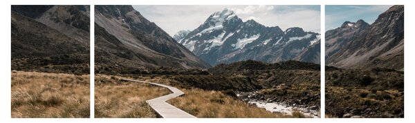 Obraz - Chodník v údolí hory Mt. Cook (170x50 cm)