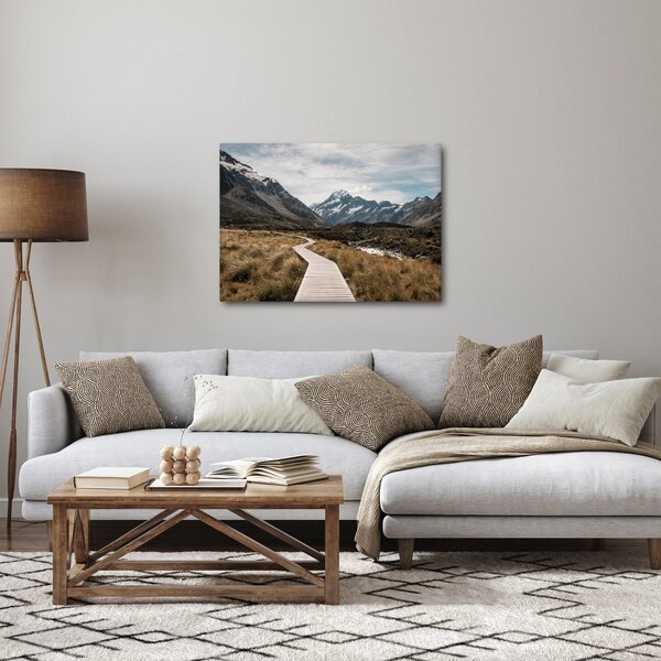 Obraz - Chodník v údolí hory Mt. Cook (70x50 cm)
