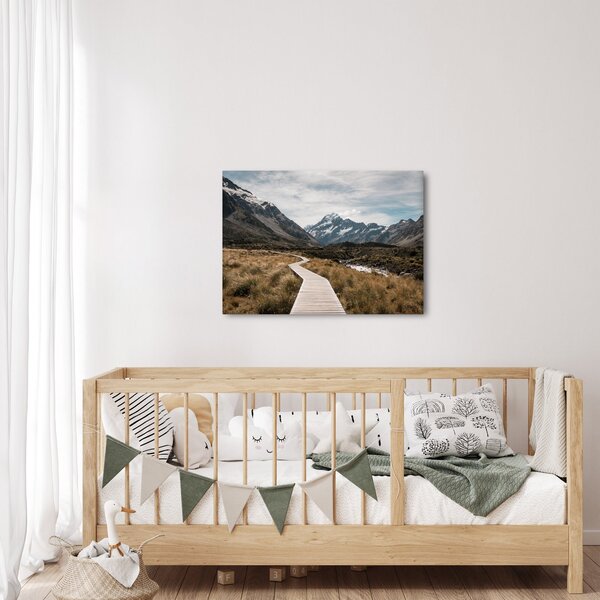 Obraz - Chodník v údolí hory Mt. Cook (70x50 cm)