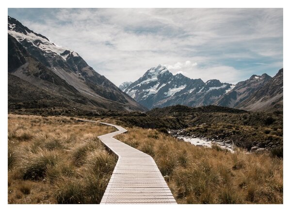 Obraz - Chodník v údolí hory Mt. Cook (70x50 cm)