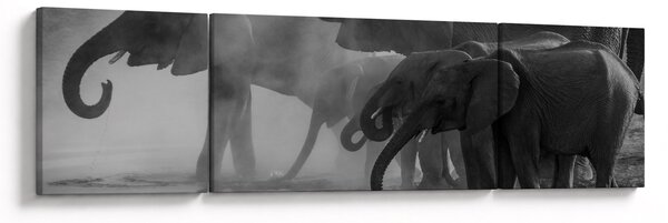 Obraz slonů - černobílý (170x50 cm)