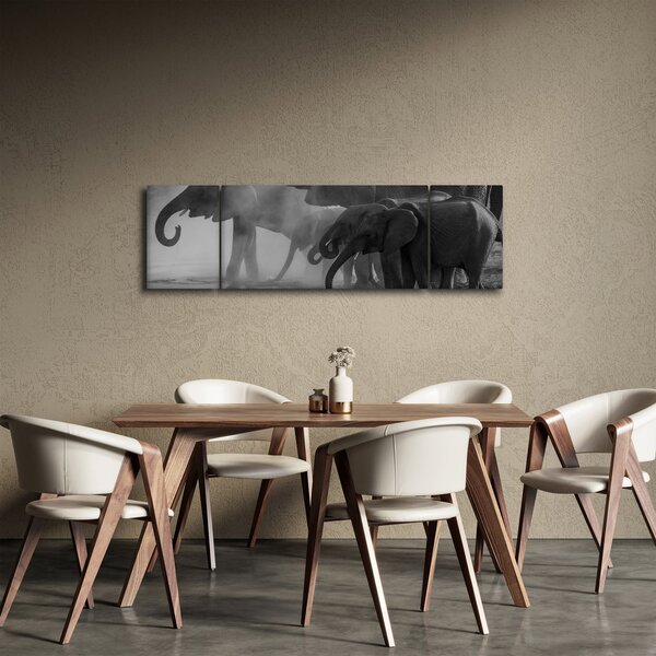 Obraz slonů - černobílý (170x50 cm)