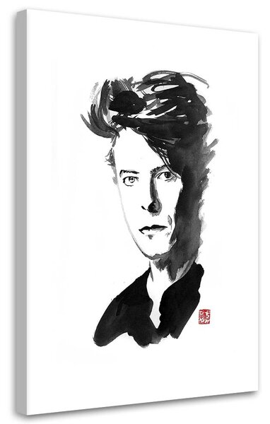 Obraz na plátně Zpěvák David Bowie - Péchane Rozměry: 40 x 60 cm