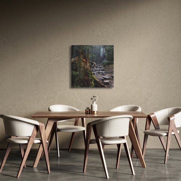 Obraz - V lese (30x30 cm)