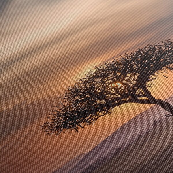 Obraz západu slunce v Tanzanii (210x100 cm)