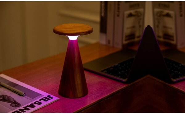 LED stolní lampa v tmavě přírodní barvě s dřevěným stínidlem (výška 21 cm) Sylva – Gingko