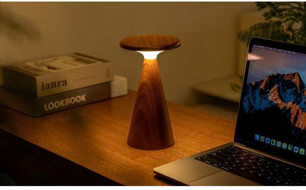 LED stolní lampa v tmavě přírodní barvě s dřevěným stínidlem (výška 21 cm) Sylva – Gingko