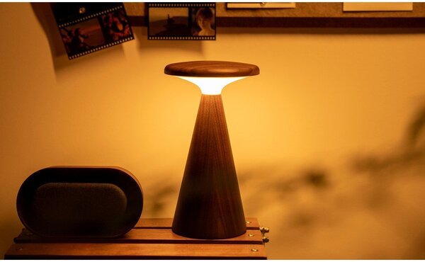 LED stolní lampa v tmavě přírodní barvě s dřevěným stínidlem (výška 21 cm) Sylva – Gingko