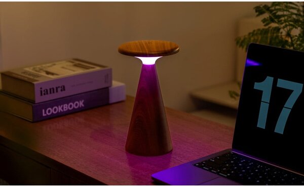LED stolní lampa v tmavě přírodní barvě s dřevěným stínidlem (výška 21 cm) Sylva – Gingko