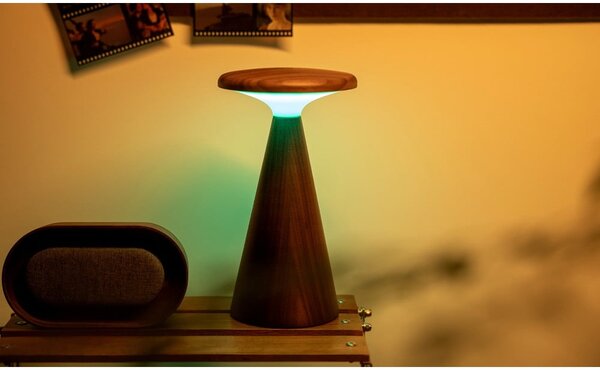 LED stolní lampa v tmavě přírodní barvě s dřevěným stínidlem (výška 21 cm) Sylva – Gingko