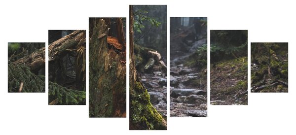 Obraz - V lese (210x100 cm)