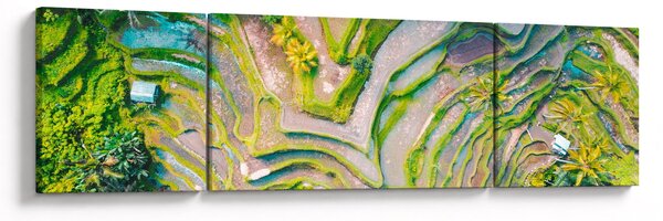 Obraz rýžových polí z ptačí perspektivy (170x50 cm)