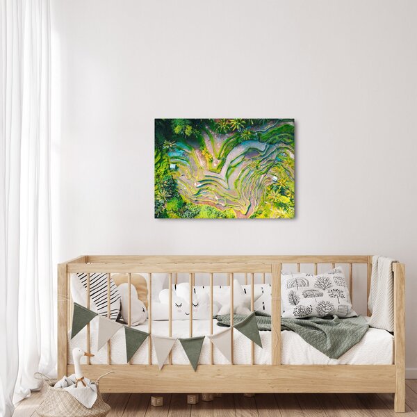 Obraz rýžových polí z ptačí perspektivy (70x50 cm)