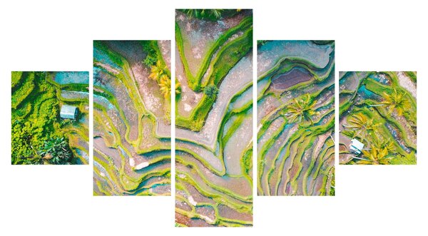 Obraz rýžových polí z ptačí perspektivy (125x70 cm)