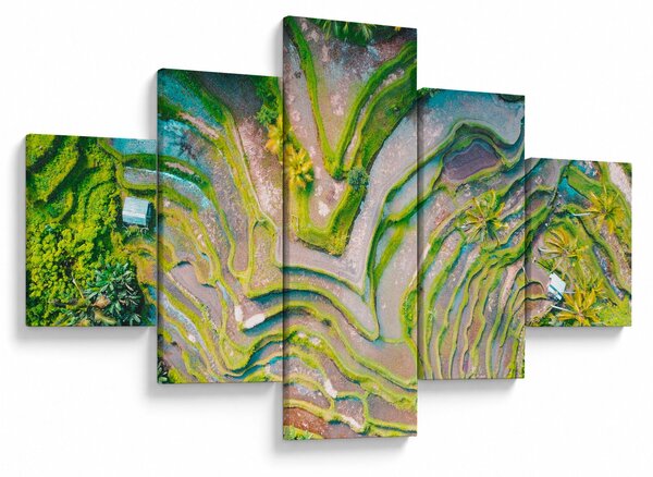 Obraz rýžových polí z ptačí perspektivy (125x70 cm)