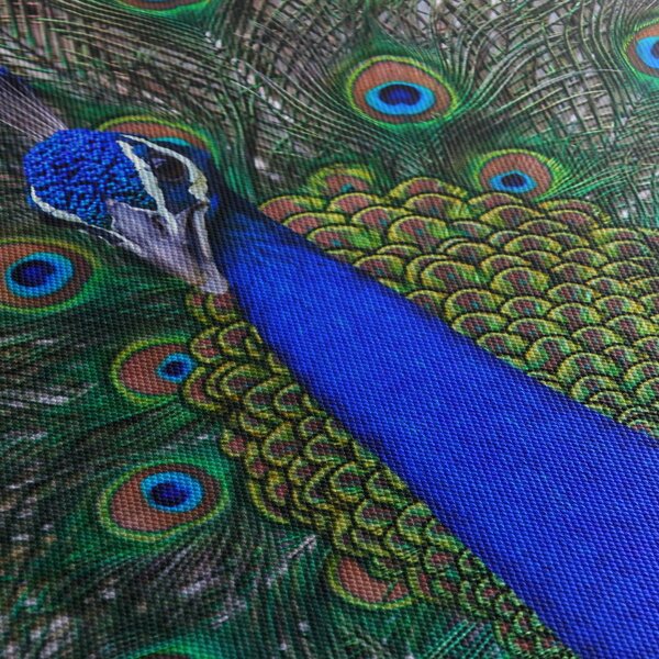 Obraz - Páv (210x100 cm)