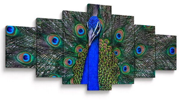 Obraz - Páv (210x100 cm)