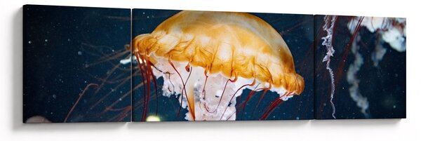 Obraz medůzy (170x50 cm)