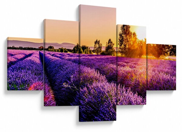 Obraz levandulového pole, Provence (125x70 cm)