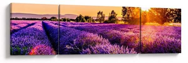 Obraz levandulového pole, Provence (170x50 cm)
