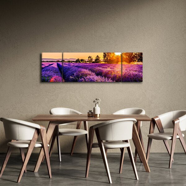 Obraz levandulového pole, Provence (170x50 cm)