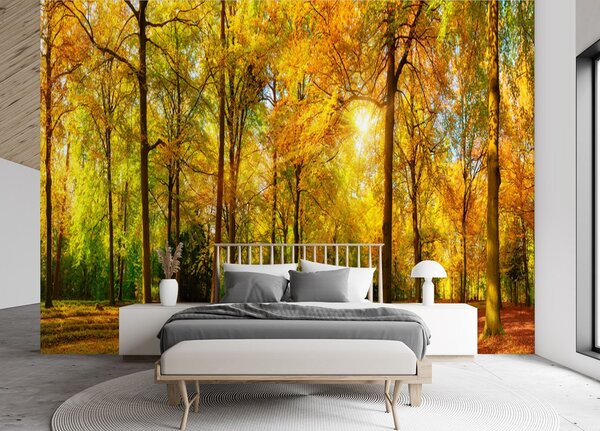 Fototapeta Podzimní les Materiál: Vliesová, Rozměry: 200 x 140 cm