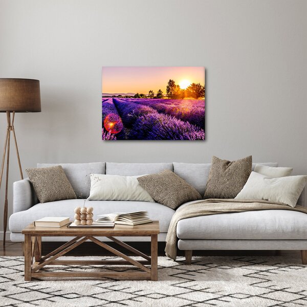 Obraz levandulového pole, Provence (70x50 cm)