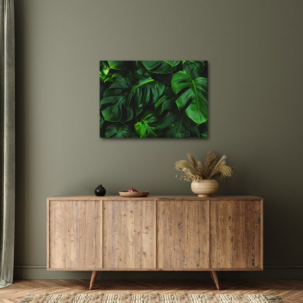 Obraz listů Monstery (70x50 cm)