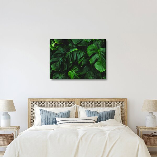 Obraz listů Monstery (70x50 cm)