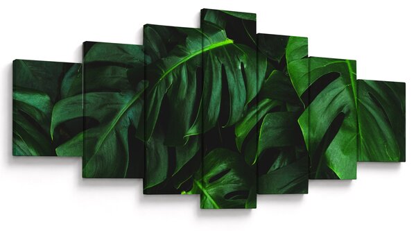 Obraz listů Monstery (210x100 cm)