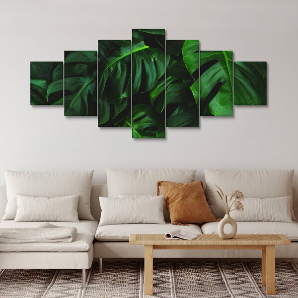 Obraz listů Monstery (210x100 cm)