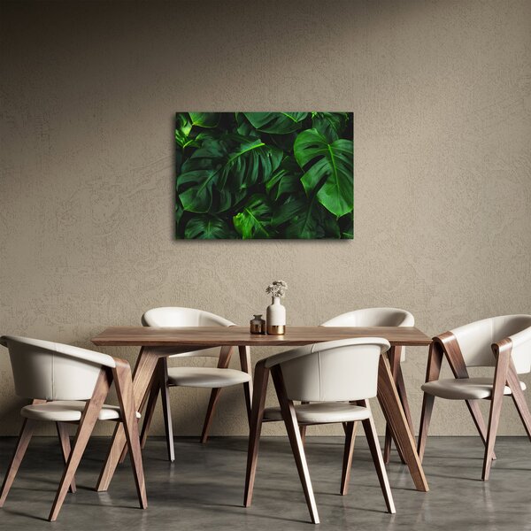 Obraz listů Monstery (70x50 cm)