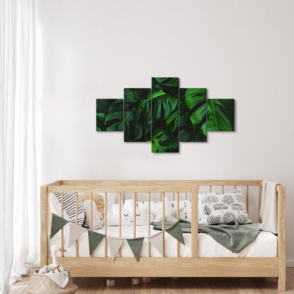 Obraz listů Monstery (125x70 cm)